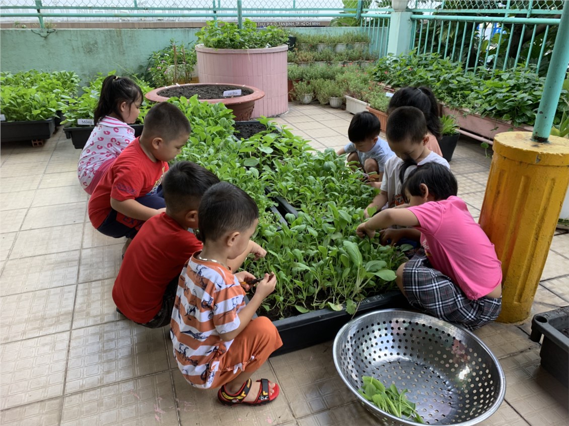 Ảnh đại diện